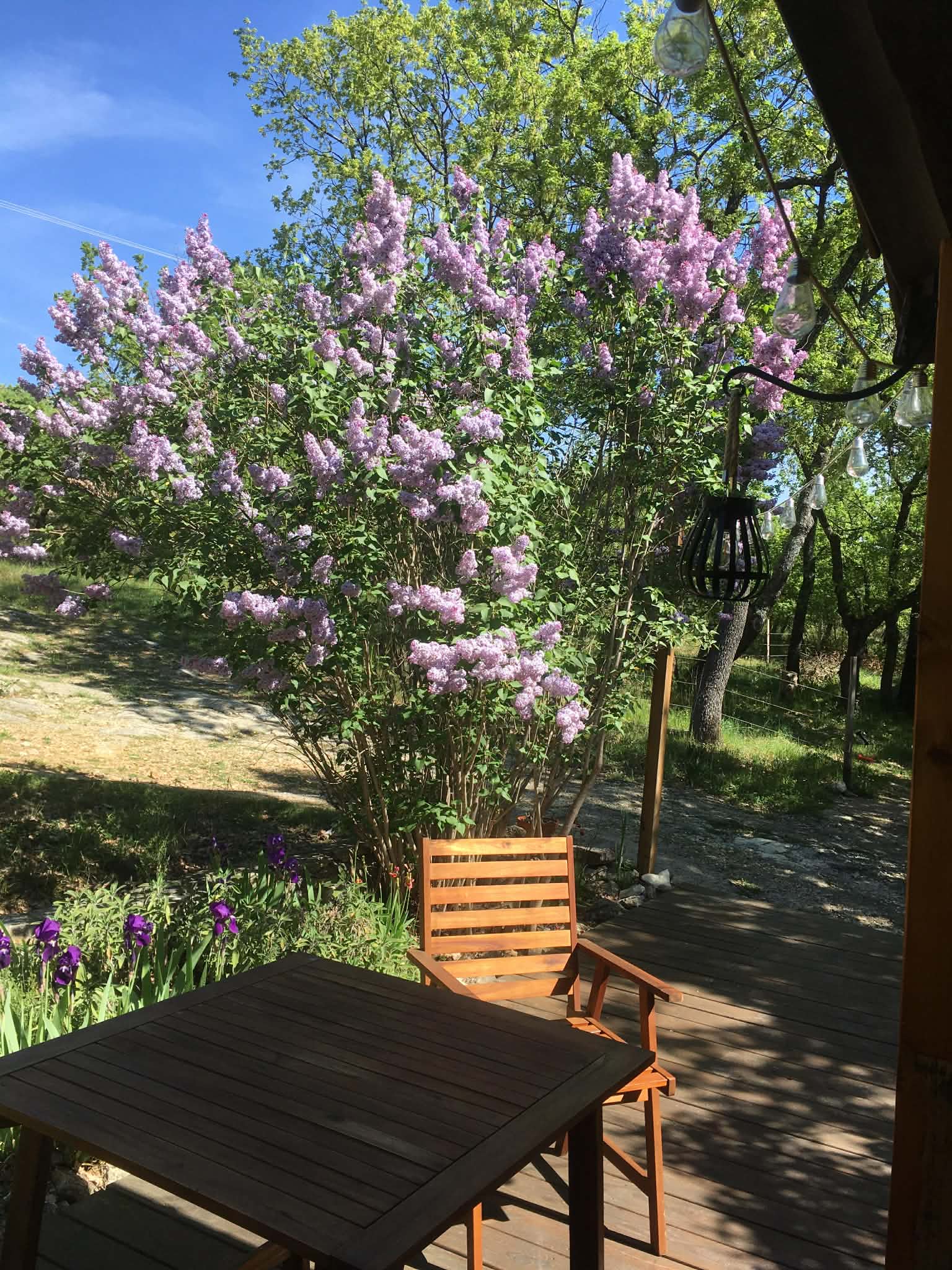 Le-Gite-au-printemps-1.jpg